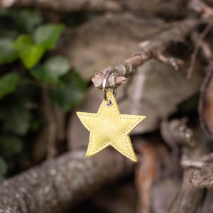 porte-clés-étoile-en-forme-d'étoile-porte-clés-en-cuirs-porte-clés-étoilés-star-étoiles-cuirs-pailleté-cuirs-a-paillette-cuirs-fantaisies-cuirs-colorés-made-in-france-fabriqué-en-france-la-cartabliere