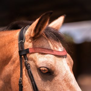 Frontal en cuir pailleté ou métallisé La Cavalière à Paillettes décliné en quatre tailles : Shetland, Poney, Cob et Cheval - la cartablière, fabriqué en france, fabriqué en Occitanie, tarn