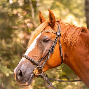 Frontal en cuir pailleté ou métallisé La Cavalière à Paillettes décliné en quatre tailles : Shetland, Poney, Cob et Cheval - la cartablière, fabriqué en france, fabriqué en Occitanie, tarn