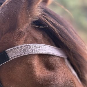Frontal en cuir pailleté ou métallisé La Cavalière à Paillettes décliné en quatre tailles : Shetland, Poney, Cob et Cheval - la cartablière, fabriqué en france, fabriqué en Occitanie, tarn