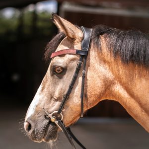 Frontal en cuir pailleté ou métallisé La Cavalière à Paillettes décliné en quatre tailles : Shetland, Poney, Cob et Cheval - la cartablière, fabriqué en france, fabriqué en Occitanie, tarn