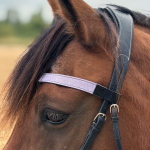 Frontal en cuir pailleté ou métallisé La Cavalière à Paillettes décliné en quatre tailles : Shetland, Poney, Cob et Cheval - la cartablière, fabriqué en france, fabriqué en Occitanie, tarn