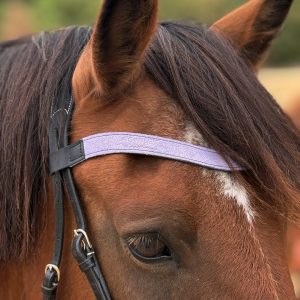 Frontal en cuir pailleté ou métallisé La Cavalière à Paillettes décliné en quatre tailles : Shetland, Poney, Cob et Cheval - la cartablière, fabriqué en france, fabriqué en Occitanie, tarn