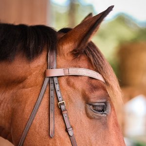 Frontal en cuir pailleté ou métallisé La Cavalière à Paillettes décliné en quatre tailles : Shetland, Poney, Cob et Cheval - la cartablière, fabriqué en france, fabriqué en Occitanie, tarn
