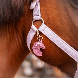 bijoux de licol, équitation, accessoire equestre la cavalière à paillettes, la cartablière, charms, paillettes