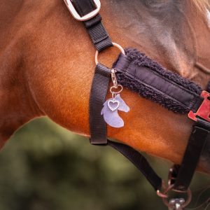 bijoux de licol, équitation, accessoire equestre la cavalière à paillettes, la cartablière, charms, paillettes
