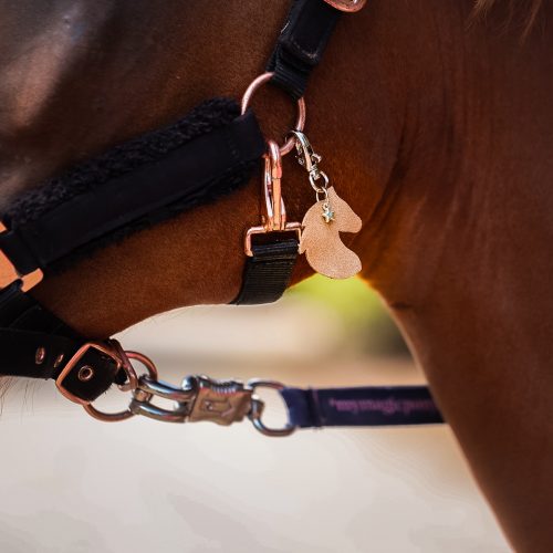 bijoux de licol, équitation, accessoire equestre la cavalière à paillettes, la cartablière, charms, paillettes