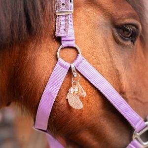 bijoux de licol, équitation, accessoire equestre la cavalière à paillettes, la cartablière, charms, paillettes
