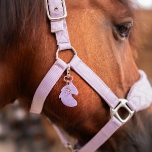 bijoux de licol, équitation, accessoire equestre la cavalière à paillettes, la cartablière, charms, paillettes