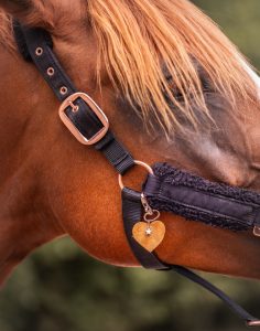 bijoux de licol, équitation, accessoire equestre la cavalière à paillettes, la cartablière, charms, paillettes