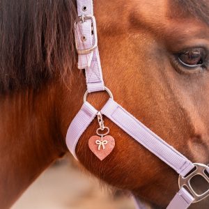 bijoux de licol, équitation, accessoire equestre la cavalière à paillettes, la cartablière, charms, paillettes
