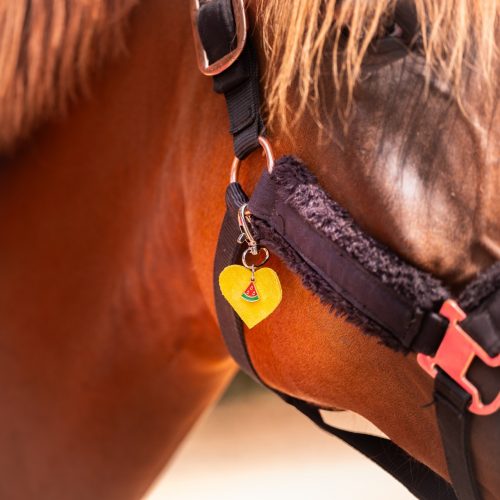 bijoux de licol, équitation, accessoire equestre la cavalière à paillettes, la cartablière, charms, paillettes