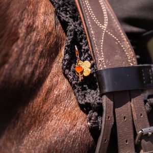 équitation, bijou, la cavalière à paillettes, la cartablière, cuir pailleté, charms, porte bonheur concours