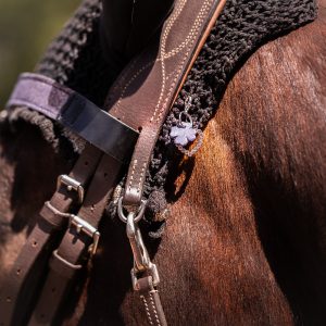 équitation, bijou, la cavalière à paillettes, la cartablière, cuir pailleté, charms, porte bonheur concours