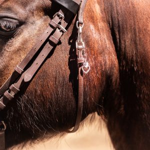 la cavalière à paillettes, la cartablière, cuir pailleté, fabriqué" en france, bijou bridon, décoration bridon cheval, bijou bridon personnalisable, accessoire bridon pailleté