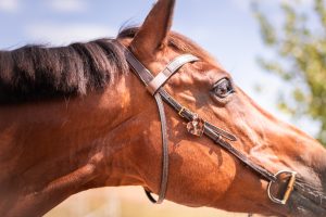 la cavalière à paillettes, la cartablière, cuir pailleté, fabriqué" en france, bijou bridon, décoration bridon cheval, bijou bridon personnalisable, accessoire bridon pailleté