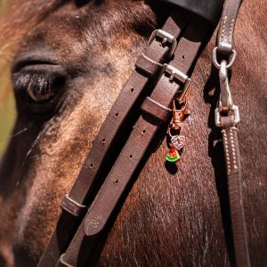 la cavalière à paillettes, la cartablière, cuir pailleté, fabriqué" en france, bijou bridon, décoration bridon cheval, bijou bridon personnalisable, accessoire bridon pailleté
