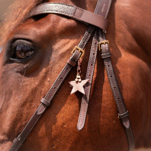la cavalière à paillettes, la cartablière, cuir pailleté, fabriqué" en france, bijou bridon, décoration bridon cheval, bijou bridon personnalisable, accessoire bridon pailleté