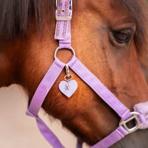bijoux de licol, équitation, accessoire equestre la cavalière à paillettes, la cartablière, charms, paillettes