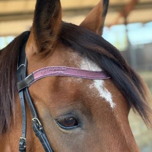 Frontal en cuir pailleté ou métallisé La Cavalière à Paillettes décliné en quatre tailles : Shetland, Poney, Cob et Cheval - la cartablière, fabriqué en france, fabriqué en Occitanie, tarn