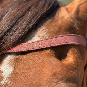 Frontal en cuir pailleté ou métallisé La Cavalière à Paillettes décliné en quatre tailles : Shetland, Poney, Cob et Cheval - la cartablière, fabriqué en france, fabriqué en Occitanie, tarn