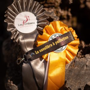 porte-clés-message-la-cavaliere-paillettes-team-crottin-j'peux pas j'ai poney- fabriqué en france, made in france, fabriqué en Occitanie cuir pailleté message drôle cheval poney